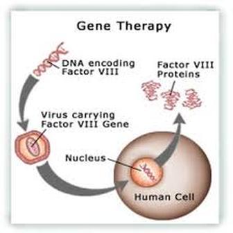 Gene Therapy Pros and Cons