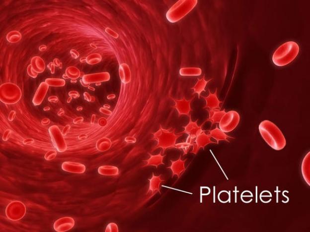 Essential Thrombocythemia Prognosis and Treatment