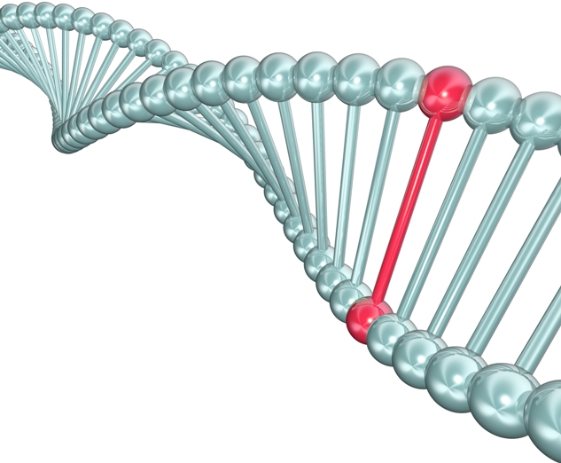 Frameshift Mutation Definition with Example 