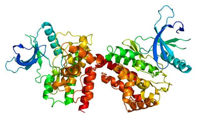 JAK2-Mutation-Analysis-Test-Symptoms-Treatment