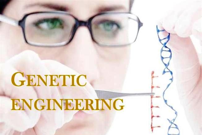 Genetic Engineering Pros and Cons in Humans