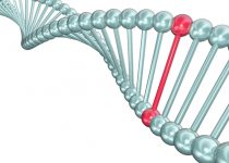 Frameshift Mutation Definition with Example