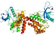 JAK2 Mutation Analysis Test, Symptoms, Treatment JAK2 Mutation Analysis Test, Symptoms, Treatment