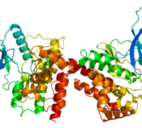 JAK2 Mutation Analysis Test, Symptoms, Treatment