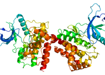 JAK2 Mutation Analysis Test, Symptoms, Treatment