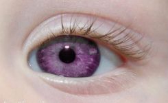 Alexandrias Genesis Pictures Violet Eyes Real or fake Alexandrias Genesis Pictures Violet Eyes Real or fake