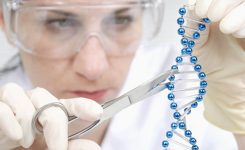 Gen Schere 1 Gen Schere 1