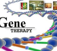 Gene Therapy Pros and Cons