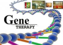 Gene Therapy Pros and Cons