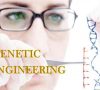 Genetic Engineering Pros and Cons in Humans