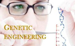 Genetic Engineering Pros and Cons in Humans